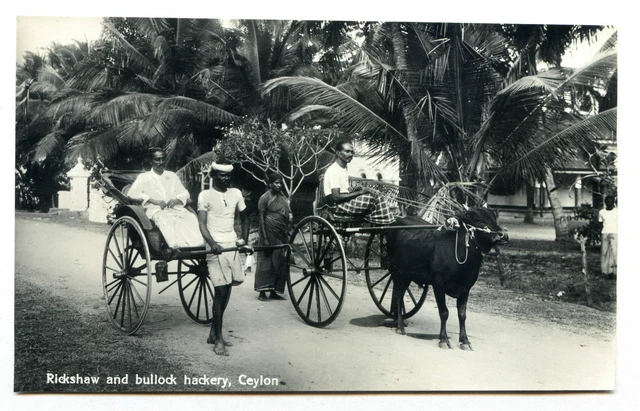 CARTE-PHOTO.INDE .INDIA . Sri Lanka .rickshaw & bullock hackery .Ceylon ...