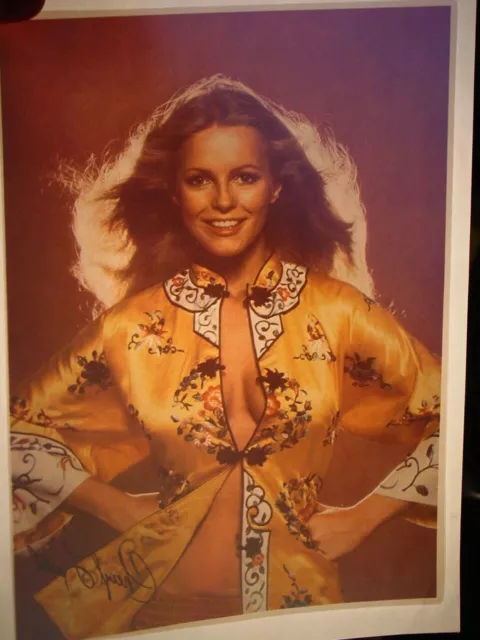 CHERYL LADD CHARLIES ANGELS 1970's VINTAGE AMERICANA IRON ON TRANSFER B-7