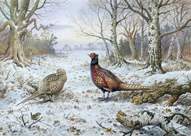 Oil painting birds Pheasant ring-necked pheasant & baby in winter Hand painted
