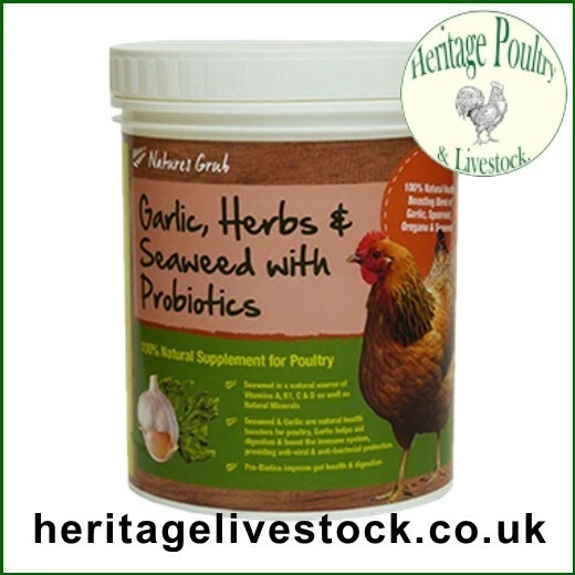 Natures Grub Garlic, Herb, Seaweed & Probiotics - health supplement for Chickens
