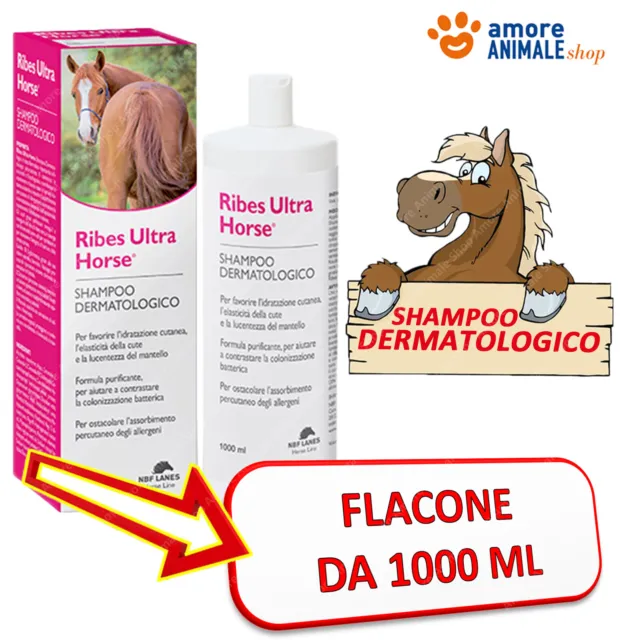 NBF LANES CAVALLI - Ribes Ultra Horse 1000 ml - Shampoo