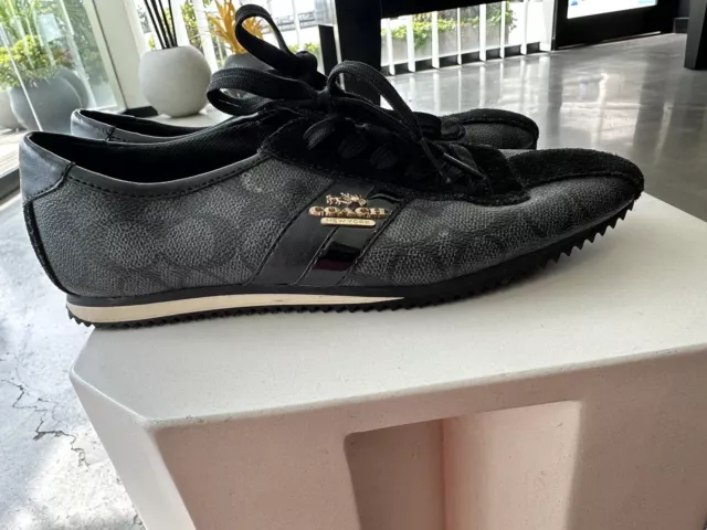 Coach hotsell ivy sneakers