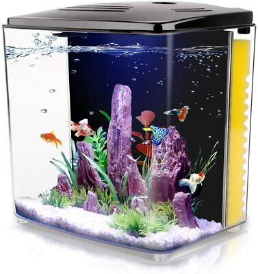 FREESEA 1.4 Gallon Aquarium Square Starter Kits w/ LED Betta Fish Tank