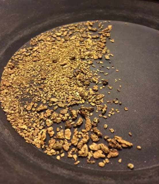 10 Ounces of Guaranteed Gold Panning Paydirt | Pay dirt Concentrates Nugget