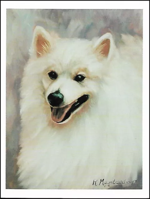 American Eskimo Note Cards  ~ AEK-2 ~ Ruth Maystead 4 pk.