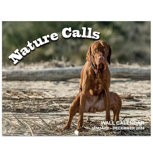 2024 WALL CALENDAR Dog Pooping Calendar 2024, January 2024 December
