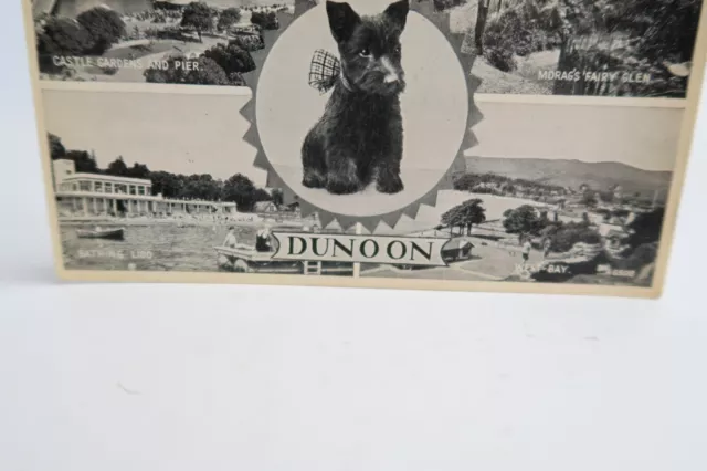 A Small Scotch from Dunoon Dog Scottie West Bay A6506 Vintage Postcard RPPC 2