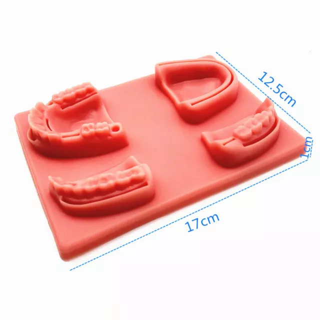 Silicone skin Training pad Oral Teeth Gum Suture Dental Wounds Suture Practice