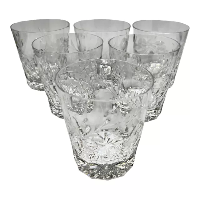 Rogaska Double Old Fashioned Whiskey Glass Country Garden Panels Floral Cuts 6Pc