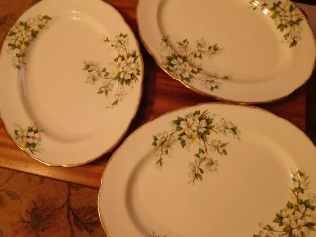 3  Vintage Royal Albert White Dogwood Bone China Oval Dinner Plates