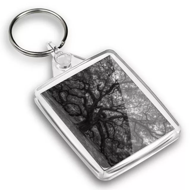 IP02 Passport Keyring BW - Old Tree Forest Nature Oak  #38815