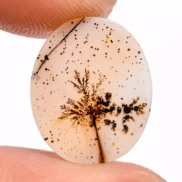 02.50 Cts. Natural Incredible Scenic Dendritic Agate Oval 14X11X1MM Cab Gemstone