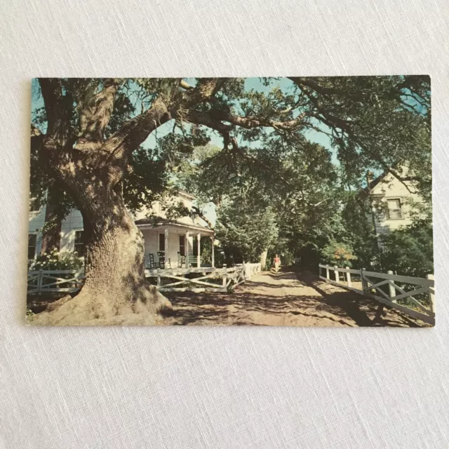 Ocracoke Island North Carolina Along the Village Street Postcard