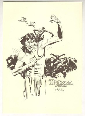 TARZAN DELLE SCIMMIE ** TAVOLA DI ALESSANDRO CHIAROLLA ** 
