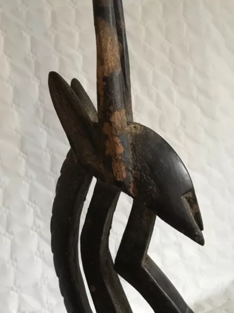 CiMiER TYI WARA - BAMBARA - MALI -70cm 2