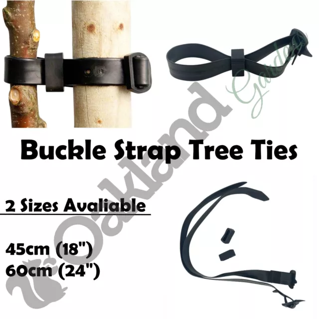 45cm + 60cm Rubber Tree Ties Buckle Strap Plant Support Whip Bare Root Straps