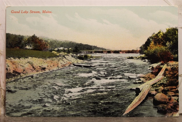 Maine ME Grand Lake Stream Postcard Old Vintage Card View Standard Souvenir Post