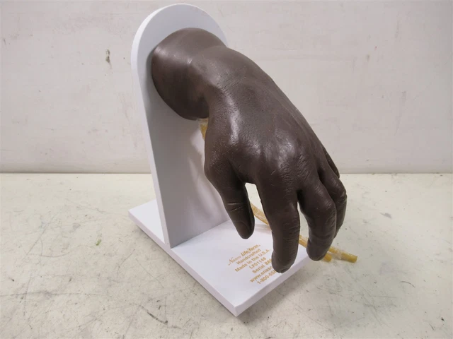Nasco Life/Form LF01139 Advanced IV Manikin Black Hand Medical Nursing Trainer