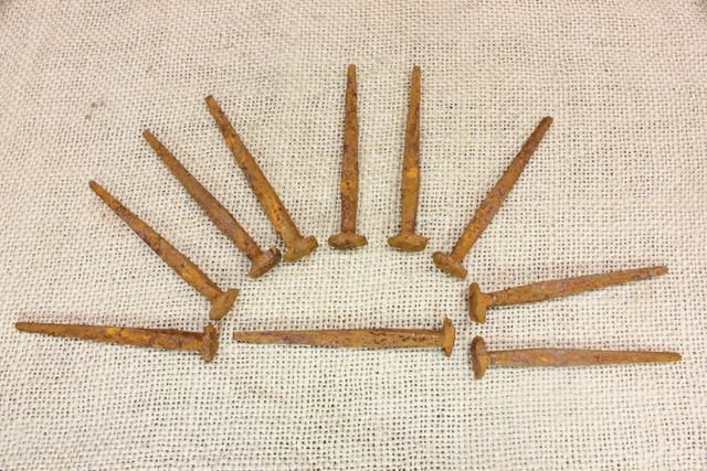 2 1/2" Rose head 10 nails RUSTY PATINA wrought iron Spikes Decorative 2.5"