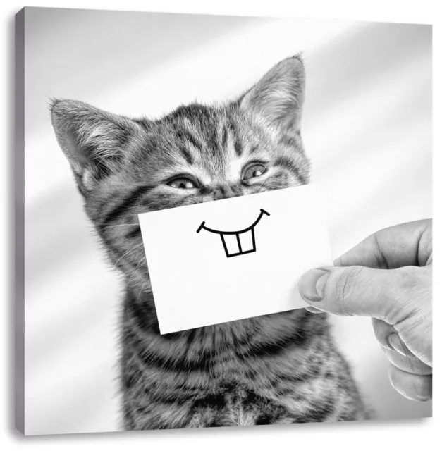 Drôle Chat Avec Sourire Sur Papier, Monochrome, Image de Toile Carré