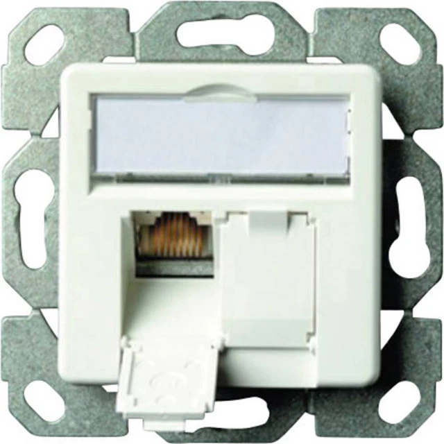 Telegärtner Prise réseau encastré insert avec plaque centrale CAT 6a 2 ports