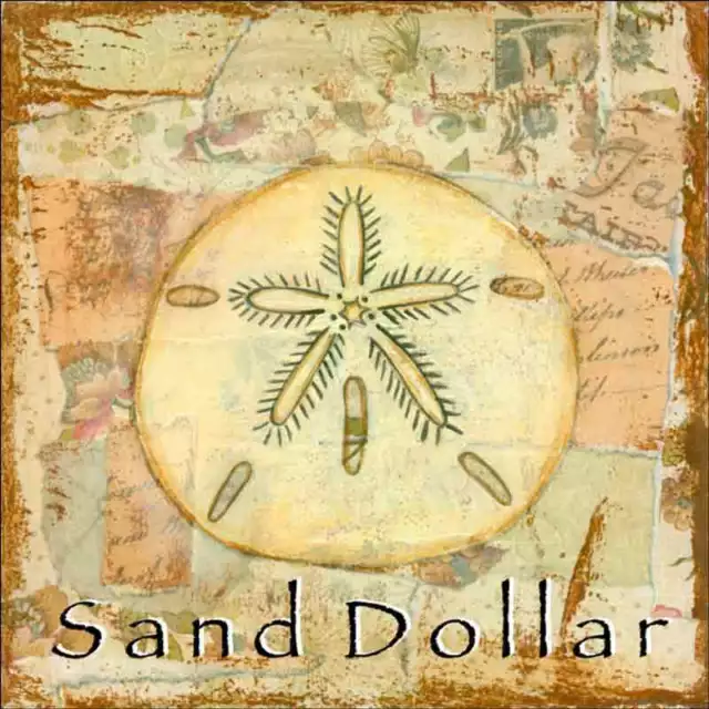 Sand Dollar Accent & Decor Tile Bridget McKenna Shell Art CCI-BRI257AT