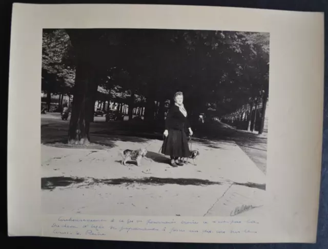 Foto Analogica Di Louis Peltier Parigi 1950 Pressa Notizie Zip Continental