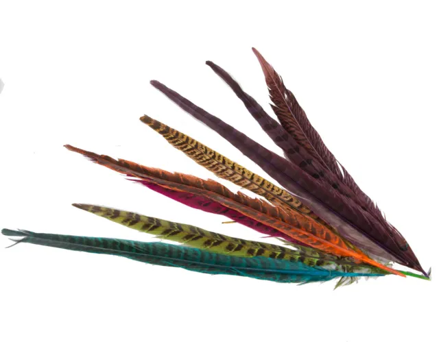 Long Pheasant Feather Millinery Hats Fascinators Crafts different colors