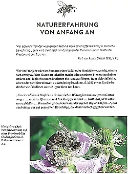 Schmitz: Aufbruch in eine neue Bienenhaltung Imkern/Ratgeber/Handbuch/Imkerei 2