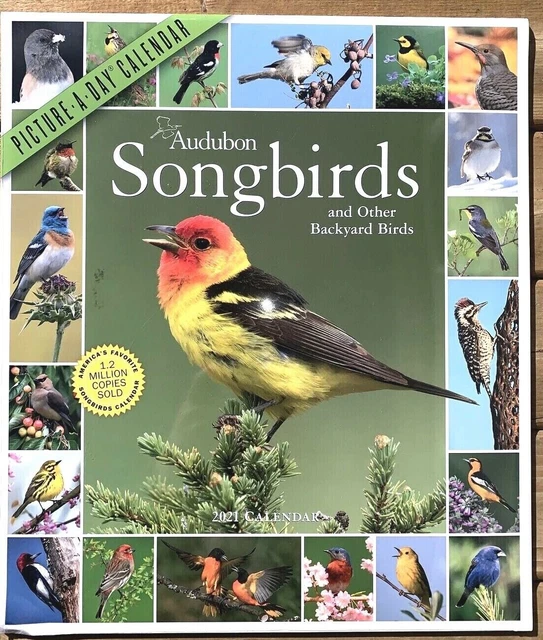 AUDUBON SONGBIRDS 2021 Calendar Backyard Birds 14" x 12" Wall Calendar