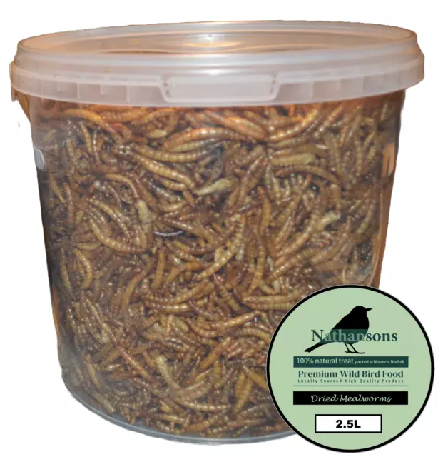 2.5 Litre Dried Mealworms - Premium Wild Bird Food Garden Snacks For Birds 2.5L