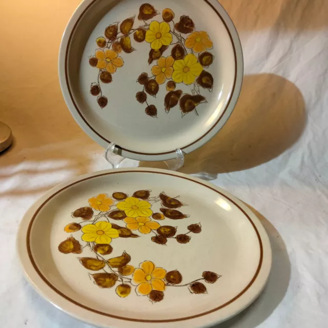 2X SuzukaStone JAPAN Dinner Plates vintage Retro Stoneware 70s Autumn Song