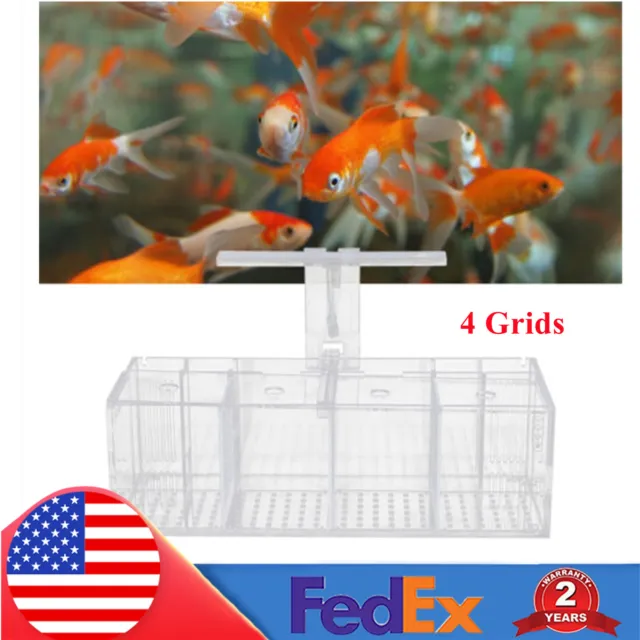 Aquaponic Fish Tank 4 Grids Desktop Fish Tank Rectangle Acrylic Betta Fish Tank