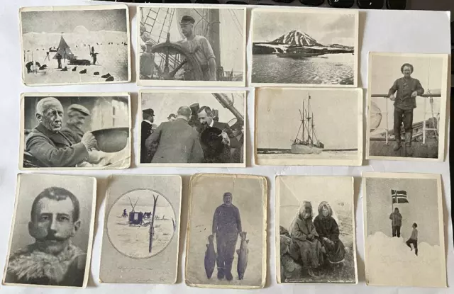 Roald Amundsen polarexplorer expeditions - buy single tobacco cigarette cards