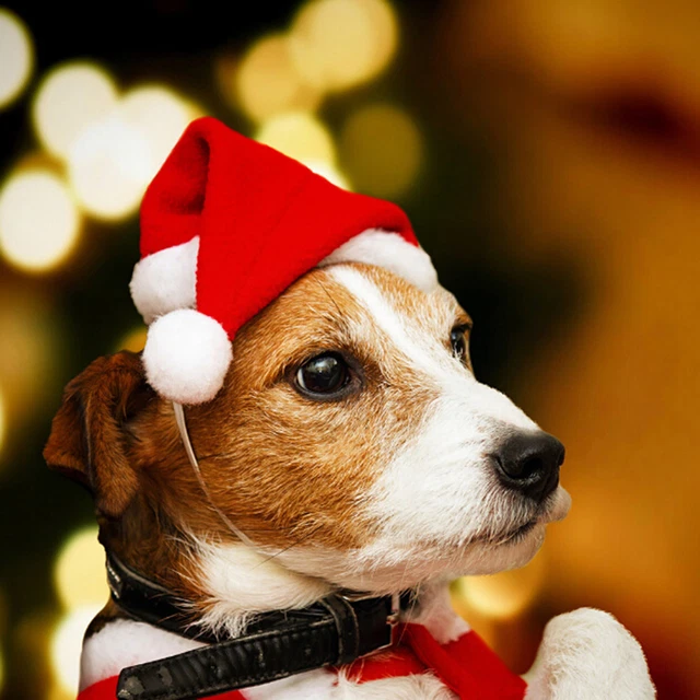 Navidad mascota santa sombrero pequeño cachorro gato perro navidad disfraz adorno NHUK