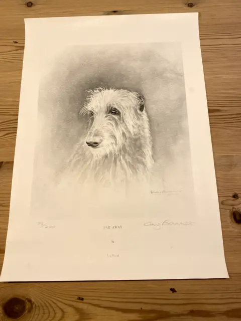 Rare Large Scottish Deerhound Ltd Ed Dog Print Signed Kay Barret Nr 186/200