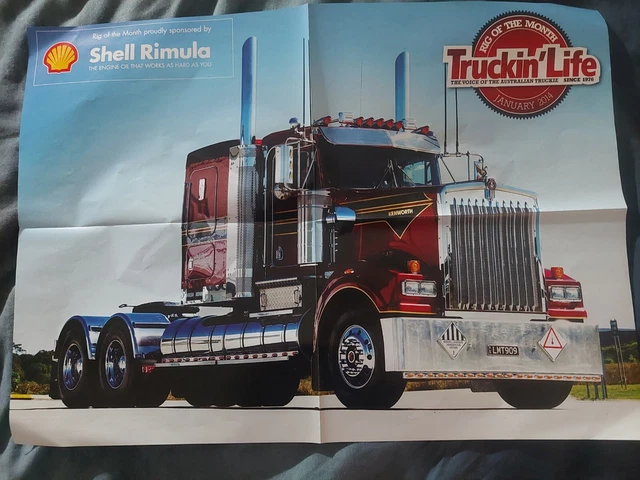 LOT160 TRUCKIN LIFE Rig Of The