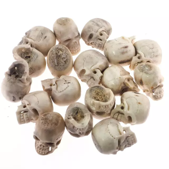 31-34mm 1 3/8" Hand Carving Deer Antler Skull Wholesale Lot Bead Cabochon