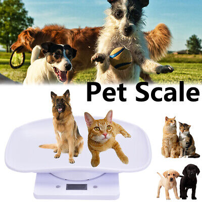 Mini Escalas de Pesaje Pequeñas Mascota Perro Gato Cocina Hogar Comida LCD Show Digital S.TM