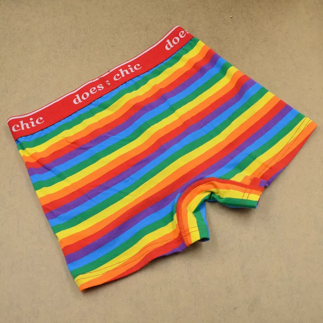 Mens Rainbow Striped Underwear Gay LGBT Pride Boxer Shorts Pants Clothing 3 Size