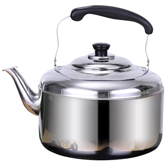 Ikea Kettle Stainless Steel Teapot Vattentat 2qt Water Steam Stovetop  Display