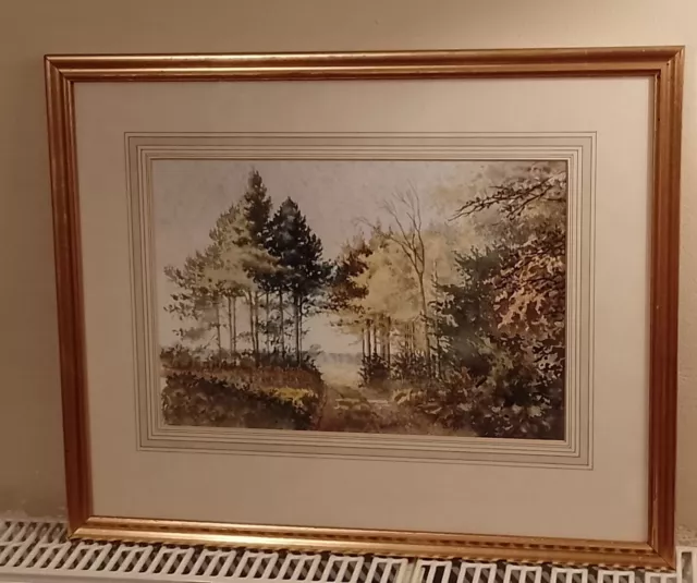 Vintage Watercolour Painting Breckland Trees By Ursula Galloway