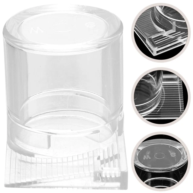 Formicaio Educativo In Acrilico Trasparente Con Torre D'Acqua - Osservazione Formiche - Foto 11