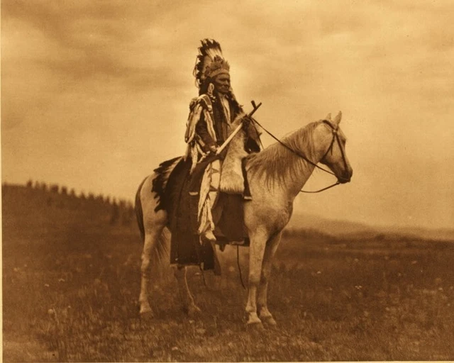 Chief Nez Perce Indian T shirt Transfers Iron On 8 x10 Lite/ Dark Fabric