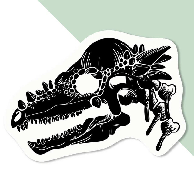 'Pachycephalosaurus Skull' Decal Stickers (DW039036)