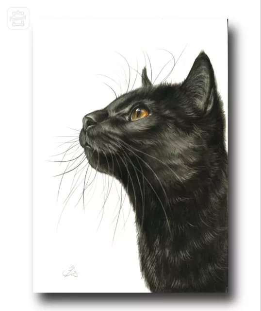 BLACK CAT GATTO nero carbone gattino dipinto disegno arte #17 EUR 70,00 -  PicClick IT