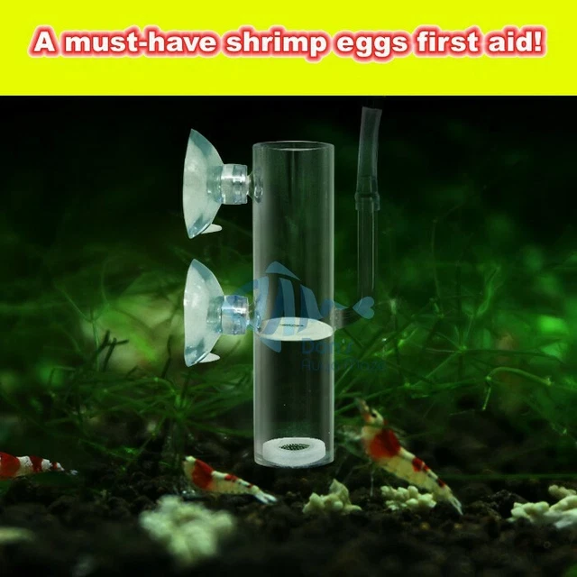Aquarium Glass Egg Tumbler Incubator (with Air Valve) Shrimp Tank First Aid