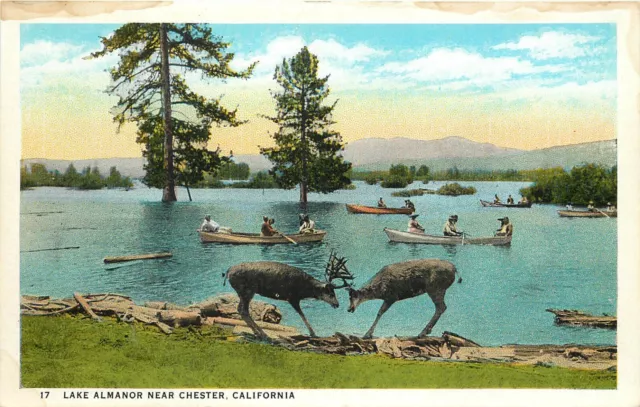 Postcard; Lake Almanor near Chester CA Boating Deer Antlers Locked Plumas County
