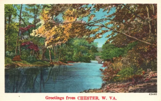 Vintage Postcard Greetings From Chester West Virginia Scenic River Autumn Leaves