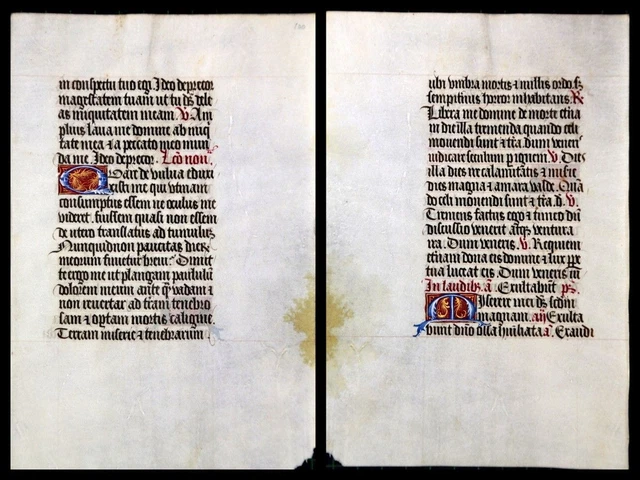 Illuminierte Grafia Su Pergamena Foglia Di Uno Miniatura Um 1500 (075)